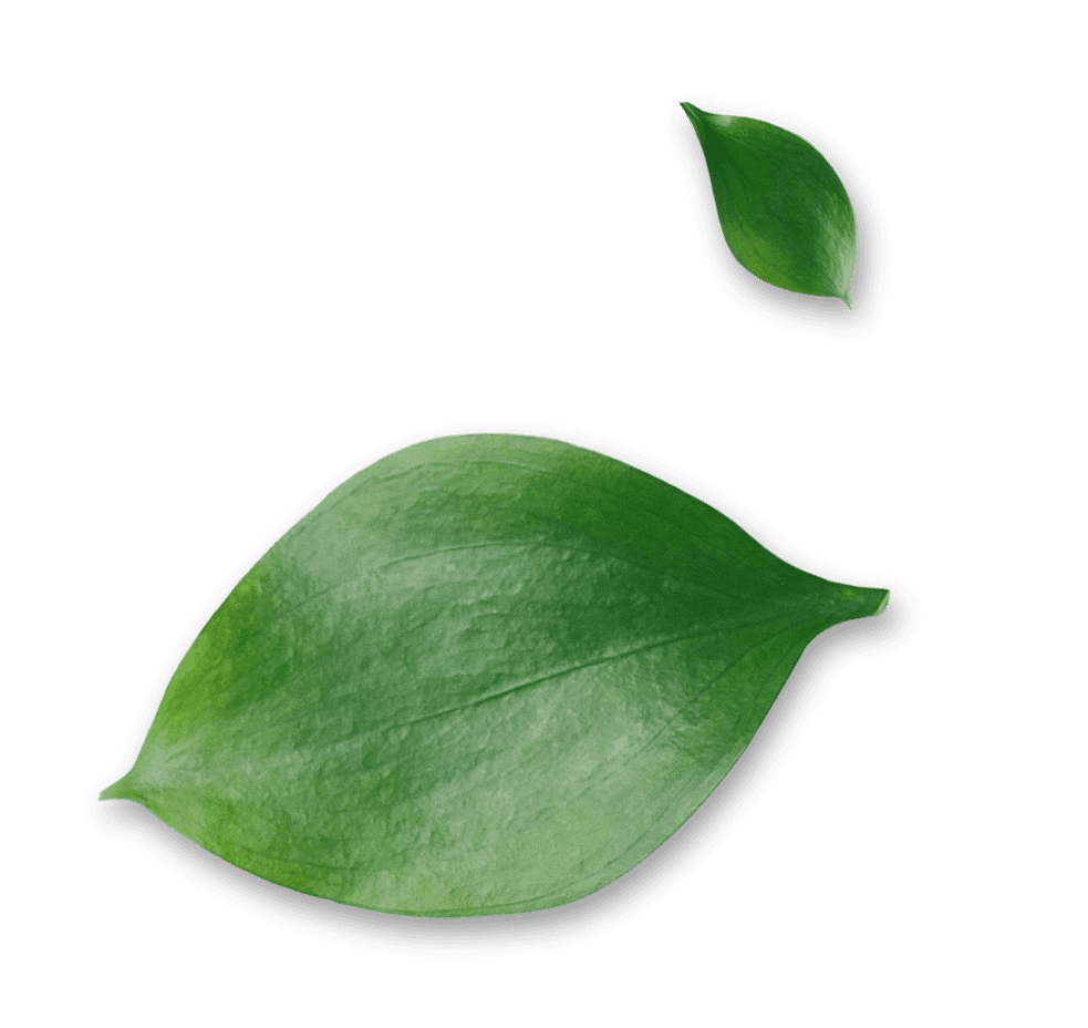 Green Leaves